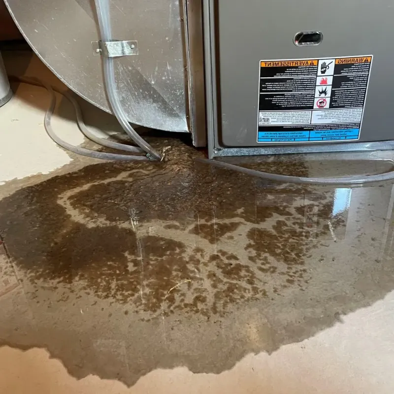 Pipe Burst and Leak Restoration in New Brunswick, NJ